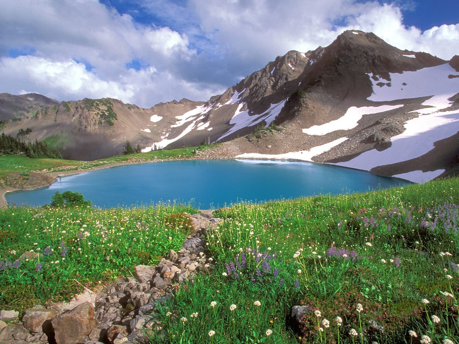 montagnes lac fleurs