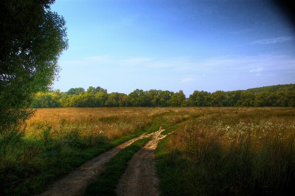 Eine helle Straße und ein geheimnisvoller Wald