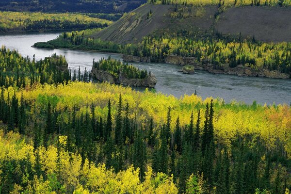 Nördlicher Taiga-Fluss im Herbst