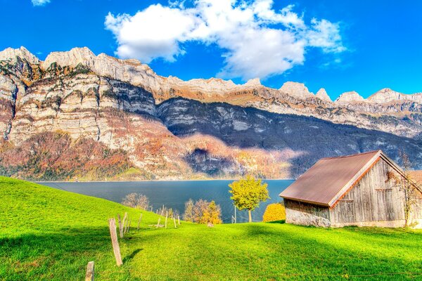 Greenery with a house on the shore of the lake, overlooking the rocks