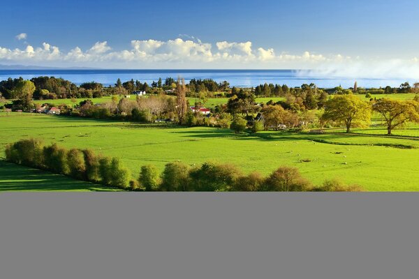 Mer bleue avec vue sur l herbe verte avec de beaux arbres