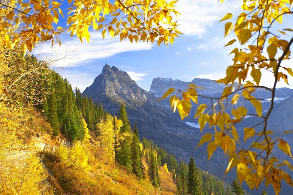 Goldener Herbst auf dem Hintergrund der kaukasischen Berge