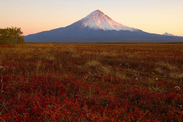 Volcano in Kamchatka, with a view of the field