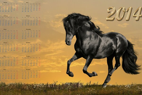 Kalender 2014 mit laufendem Pferd