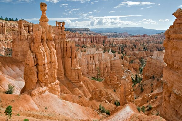 Hermosos acantilados en el gran cañón de los Estados Unidos