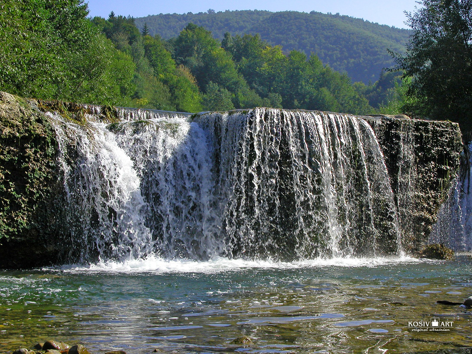 forest waterfall tree