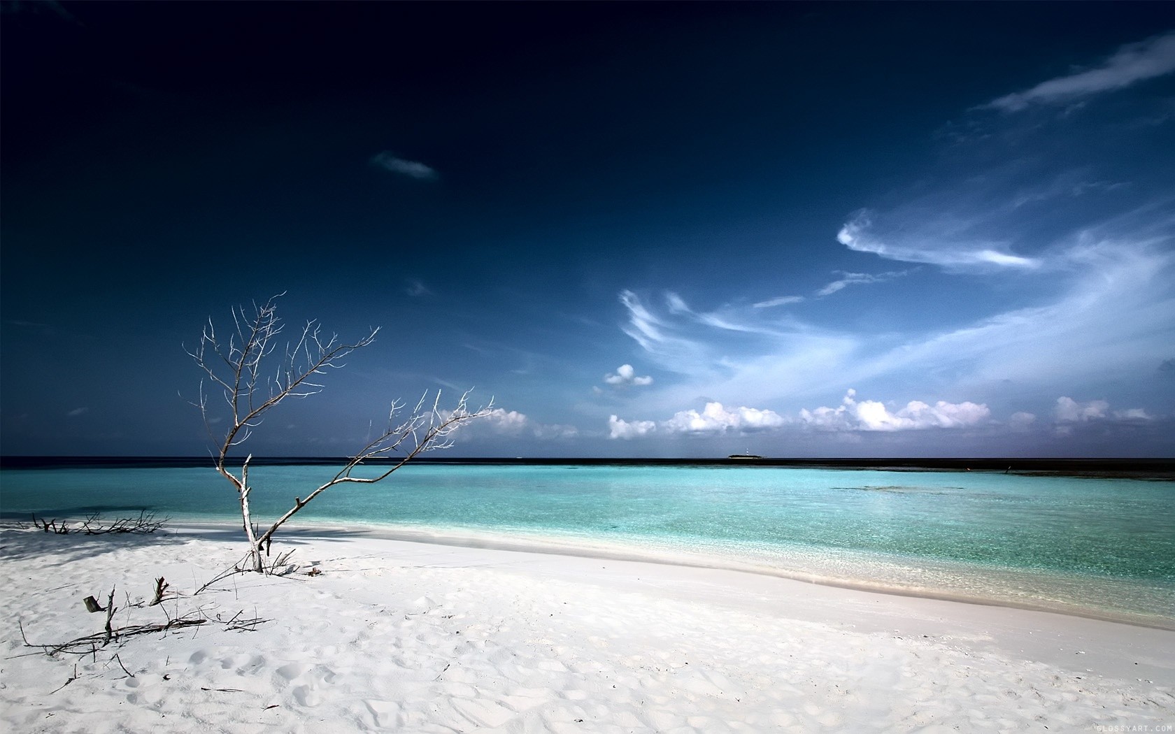 sabbia bianca spiaggia laguna alberello