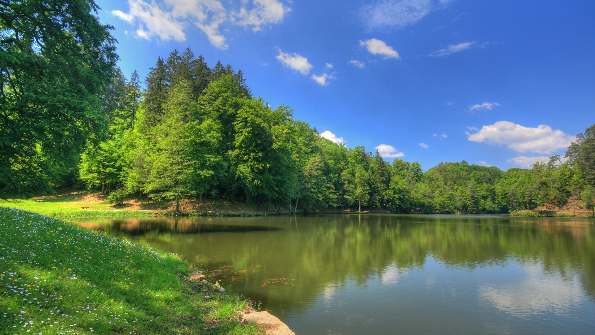 fiume stagno estate