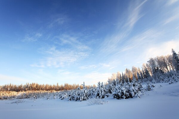 Winter landscape under a clear sky