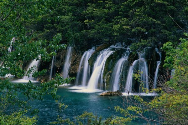 Cascate e un lago tra fogliame succulento