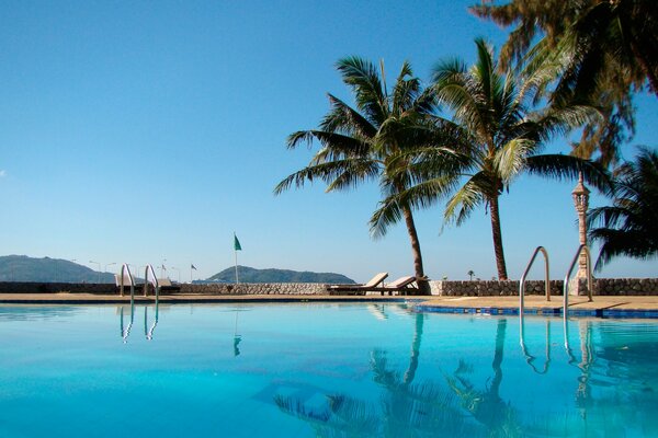 Swimming pool with palm trees on a blue sky background