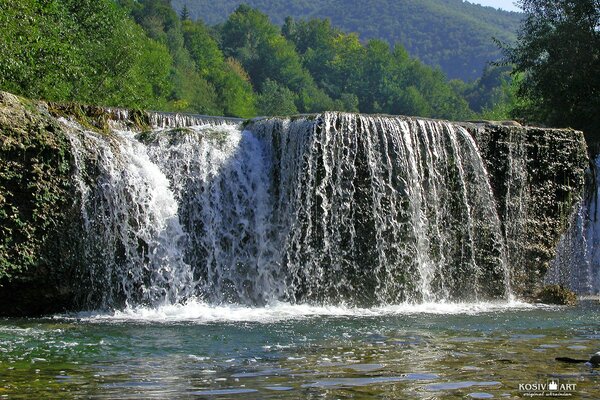 Wasserfall. Wald. See. Landschaft