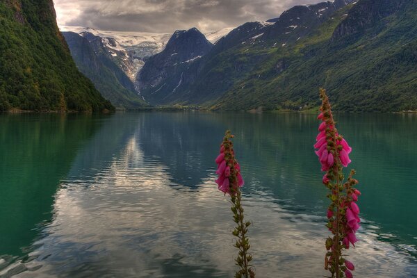 Rosa Farben im norwegischen Tal