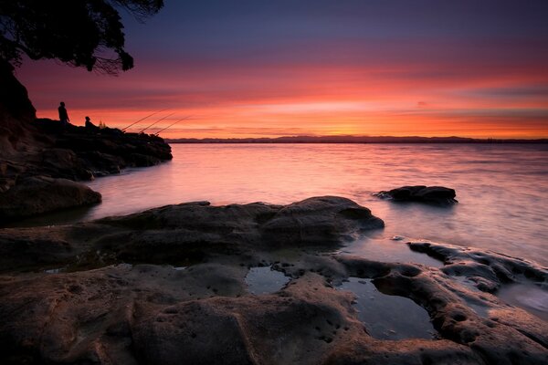 Coyle Park at sunset in New Zealand