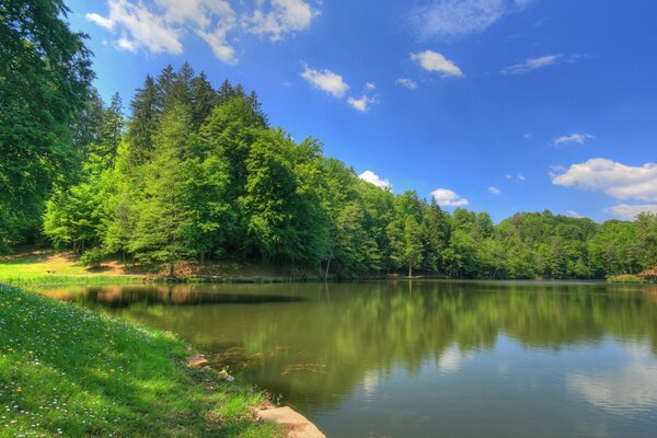 Paisaje de la naturaleza de verano en el río