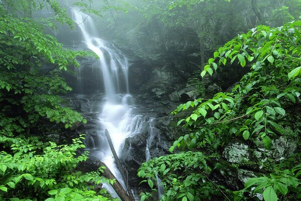 Schöner Wasserfall in einer malerischen Ecke der Natur