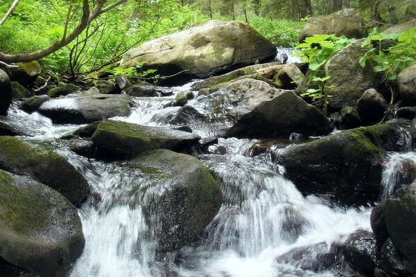 Wasserfall unter Steinen in der Natur