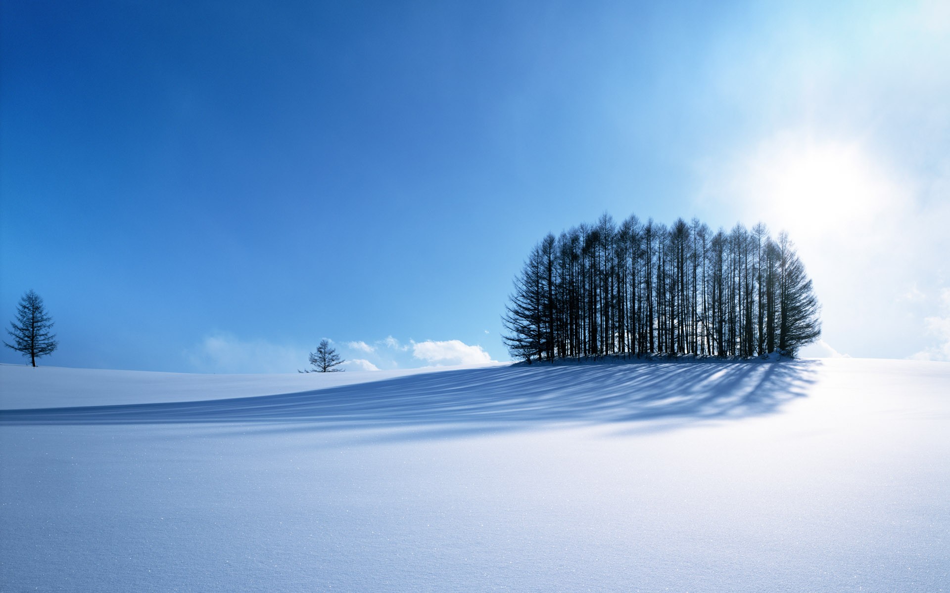 schnee winter bäume