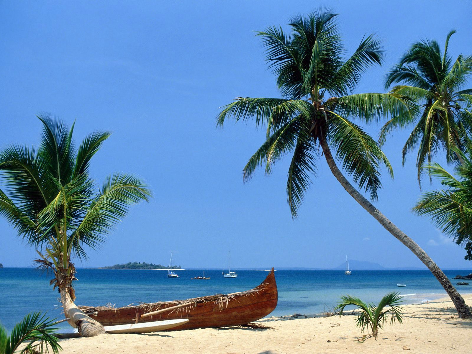 meer sonne sand paradies palme himmel boot