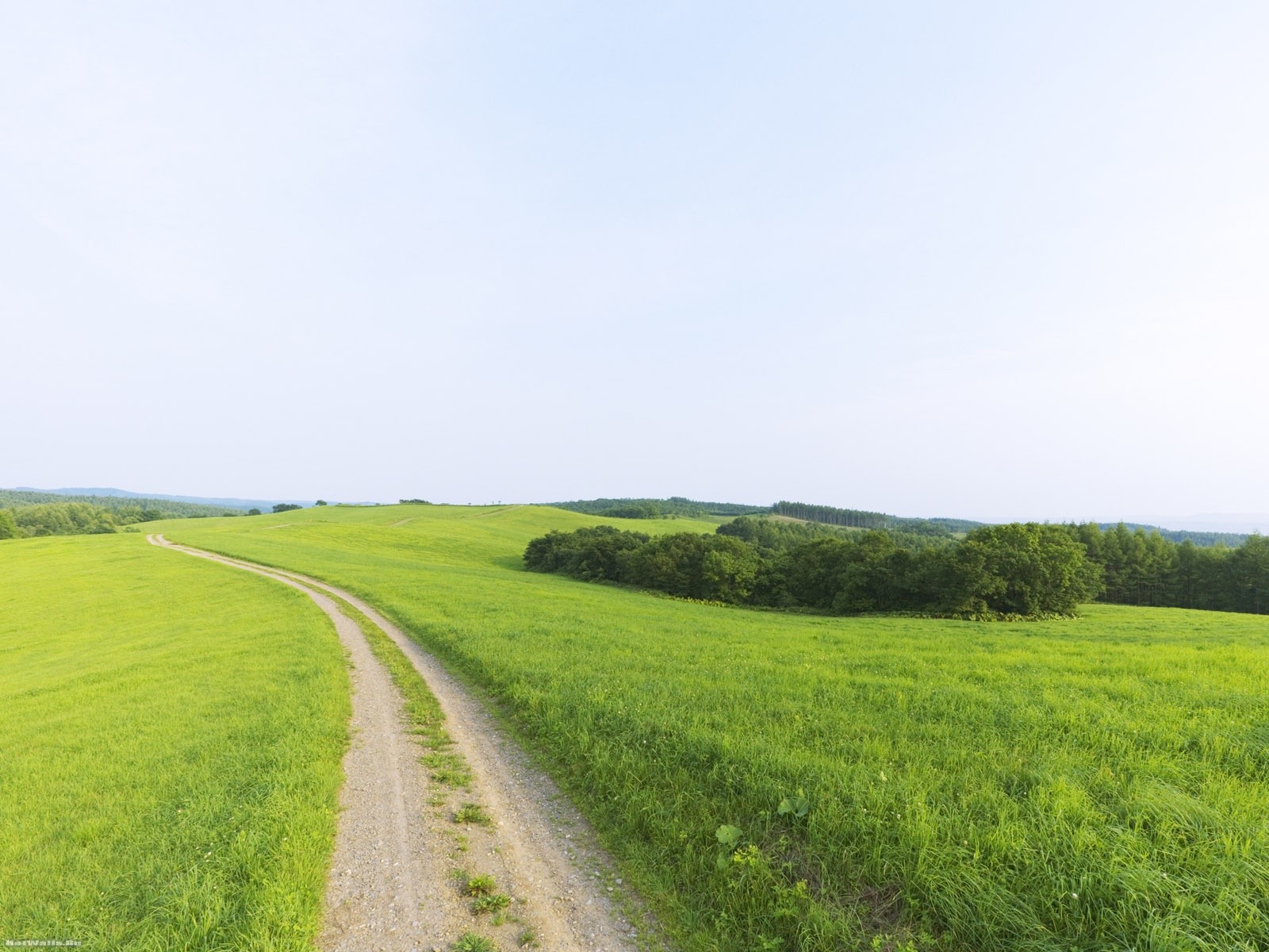 straße schönheit ferne horizont grün