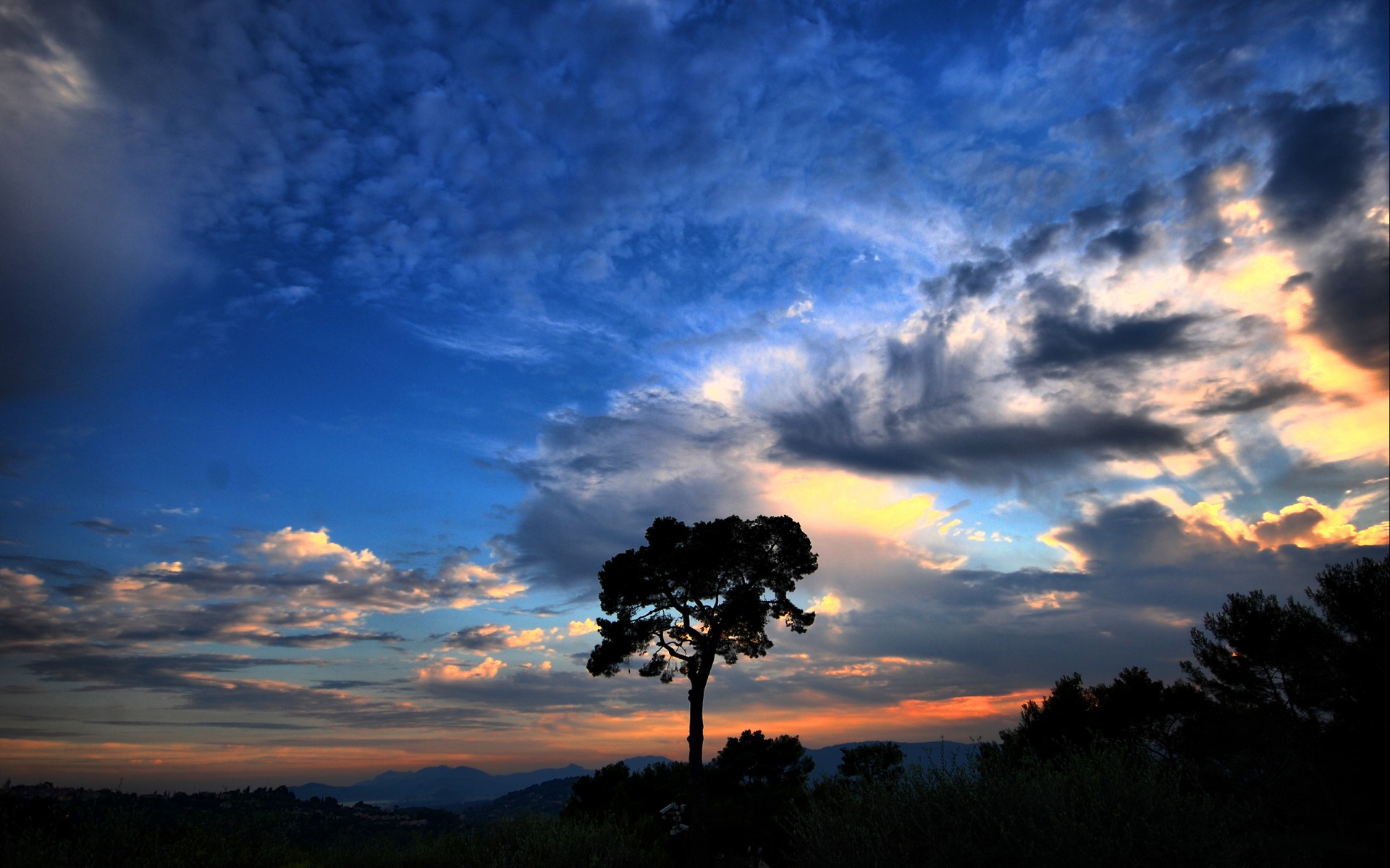 árbol cielo nubes