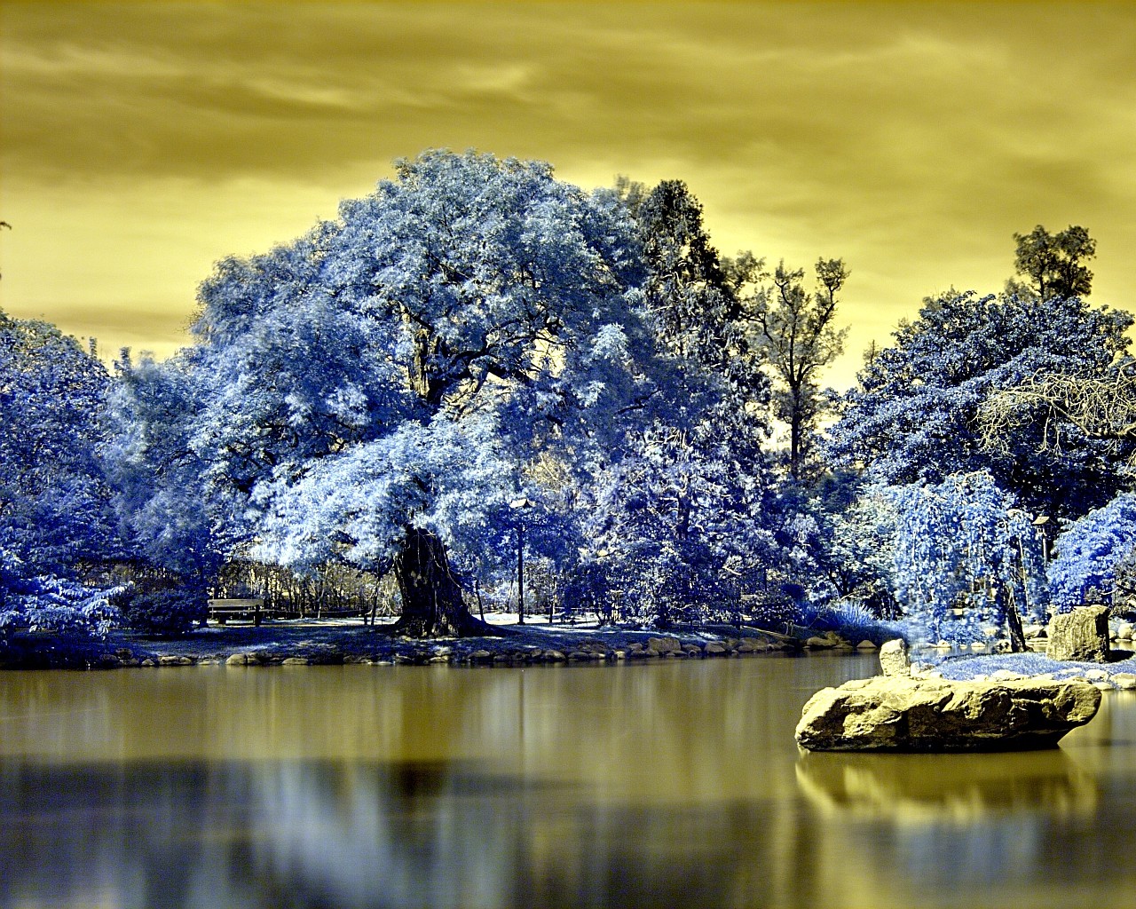 landschaft wald see