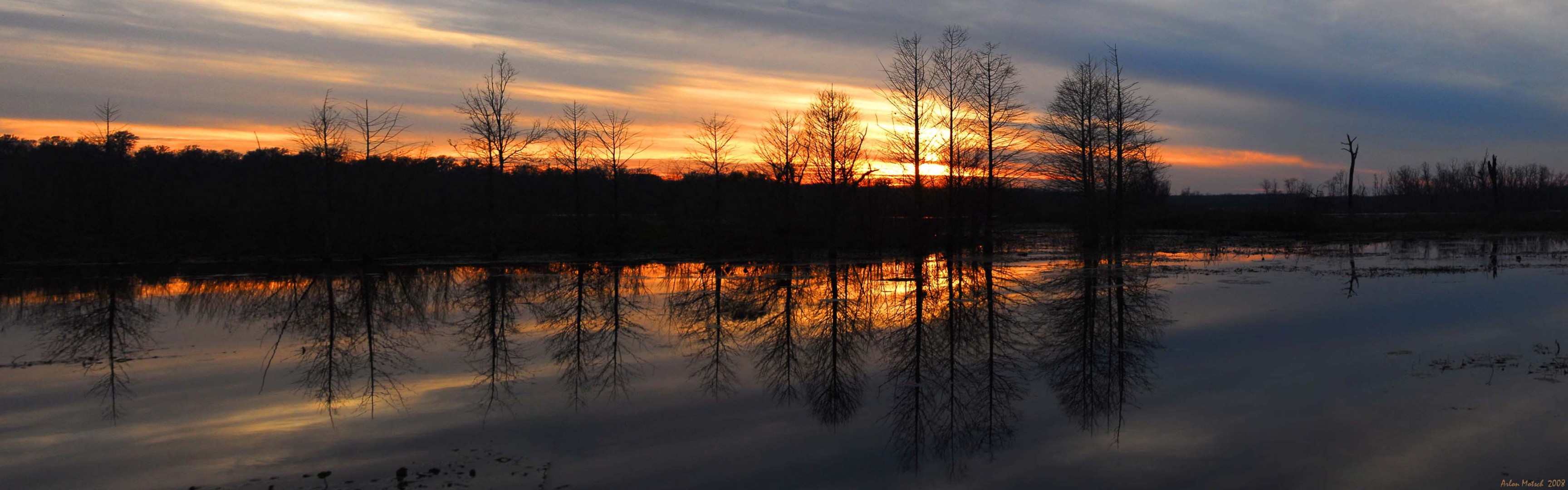 sonnenuntergang fluss wald