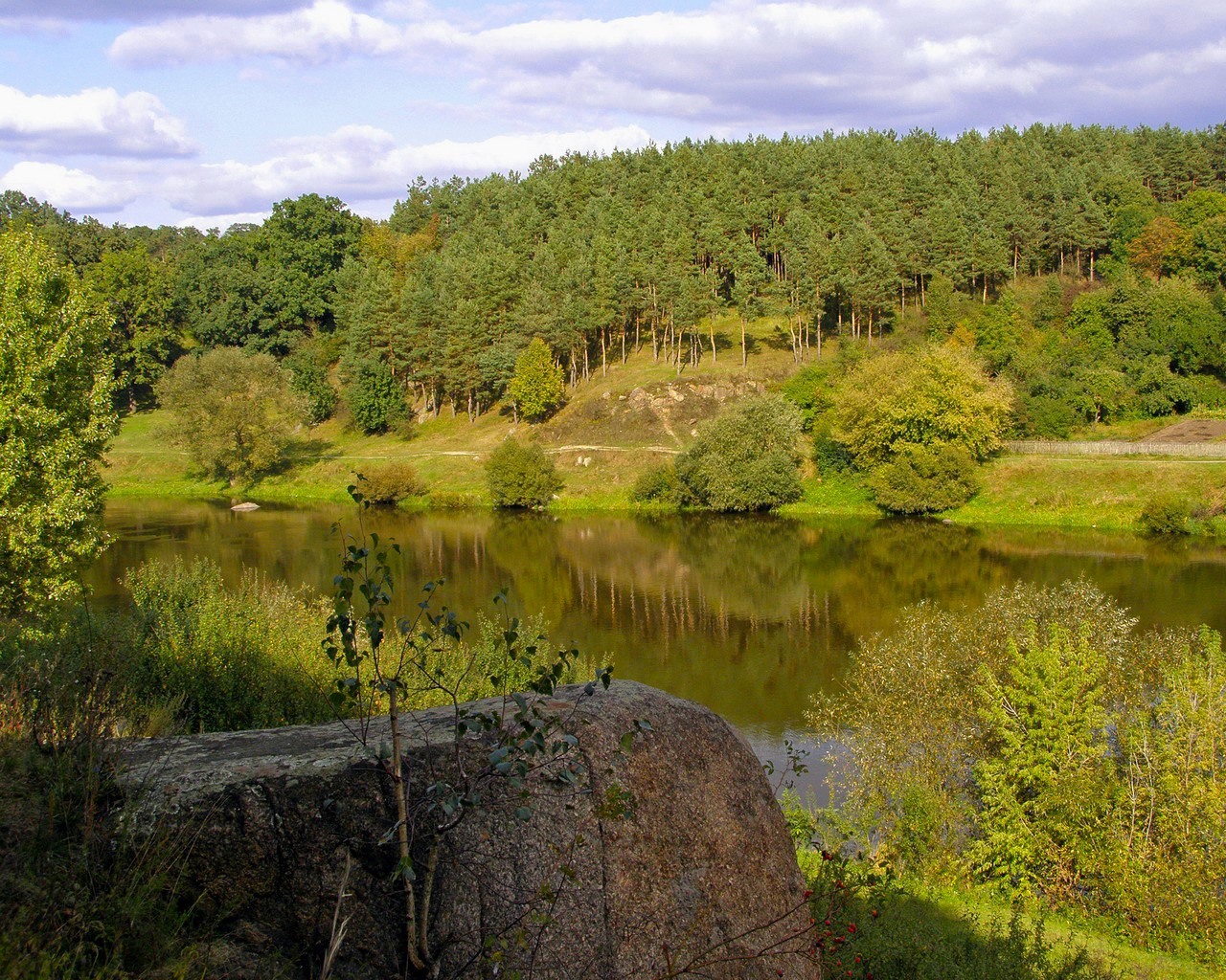 fluss sommer ufer steine