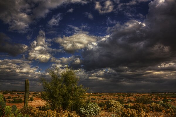 An impending thunderstorm in the desert with cacti