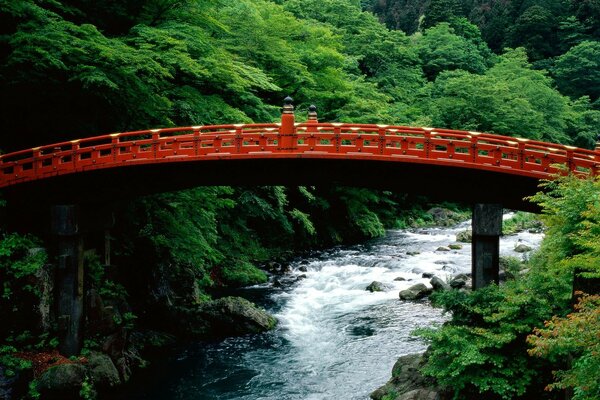 Japanese bridge over the river