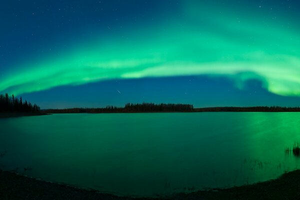 Bright green northern lights over the lake in the forest