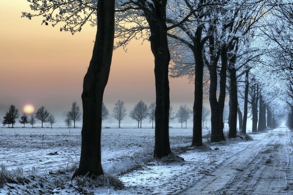 Snow tracks on a winter road