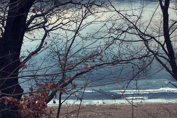 The sea in gloomy autumn weather