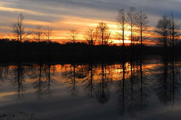 Sonnenuntergang im Wald vor dem Hintergrund des Flusses