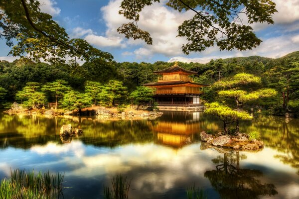 Japan forest beautiful lake