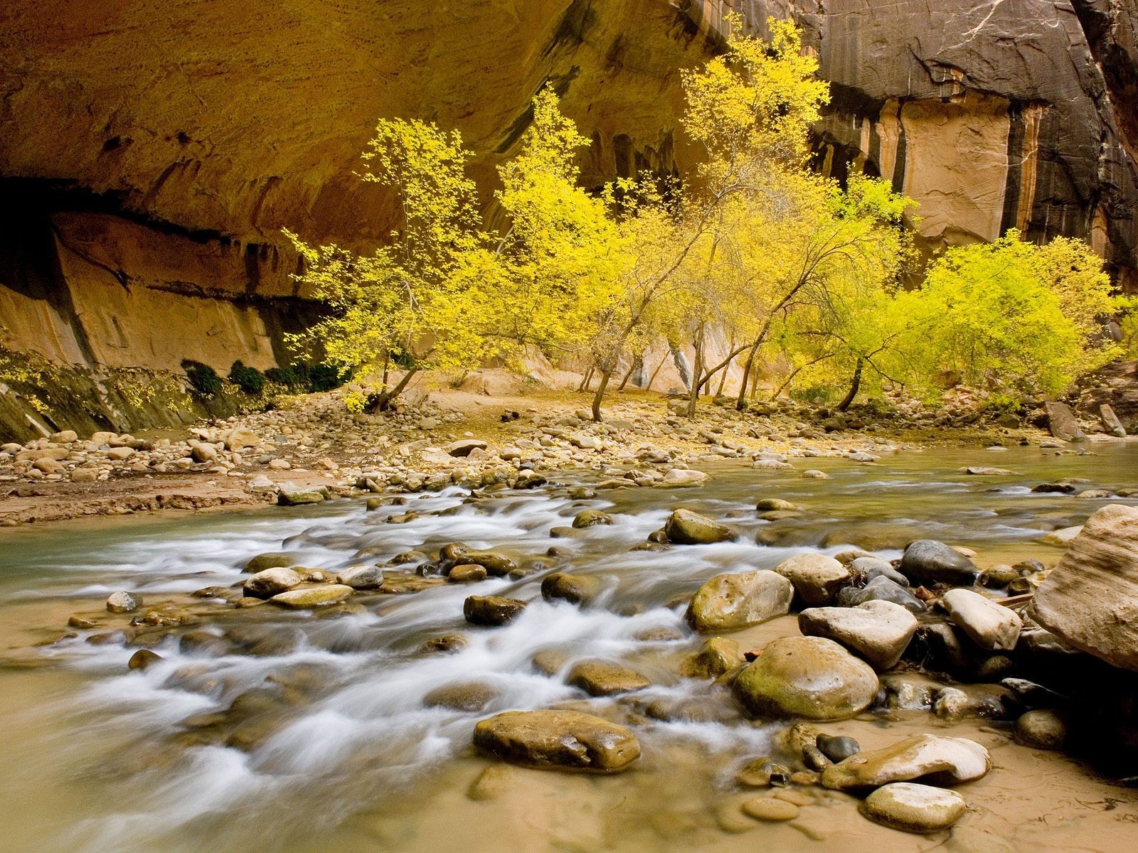 autumn stones tree mountain stream water feed