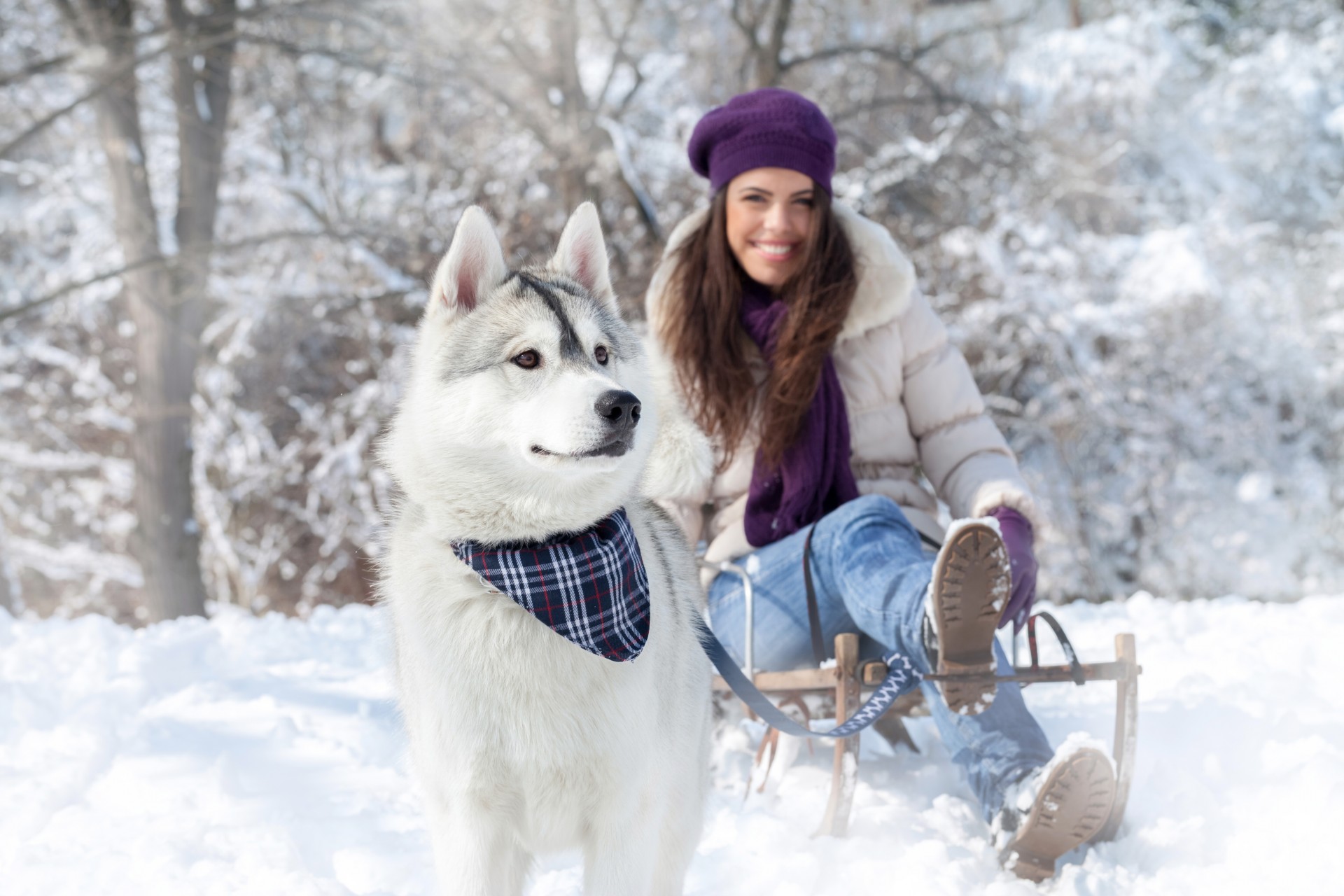 winter girls snow dogs nature