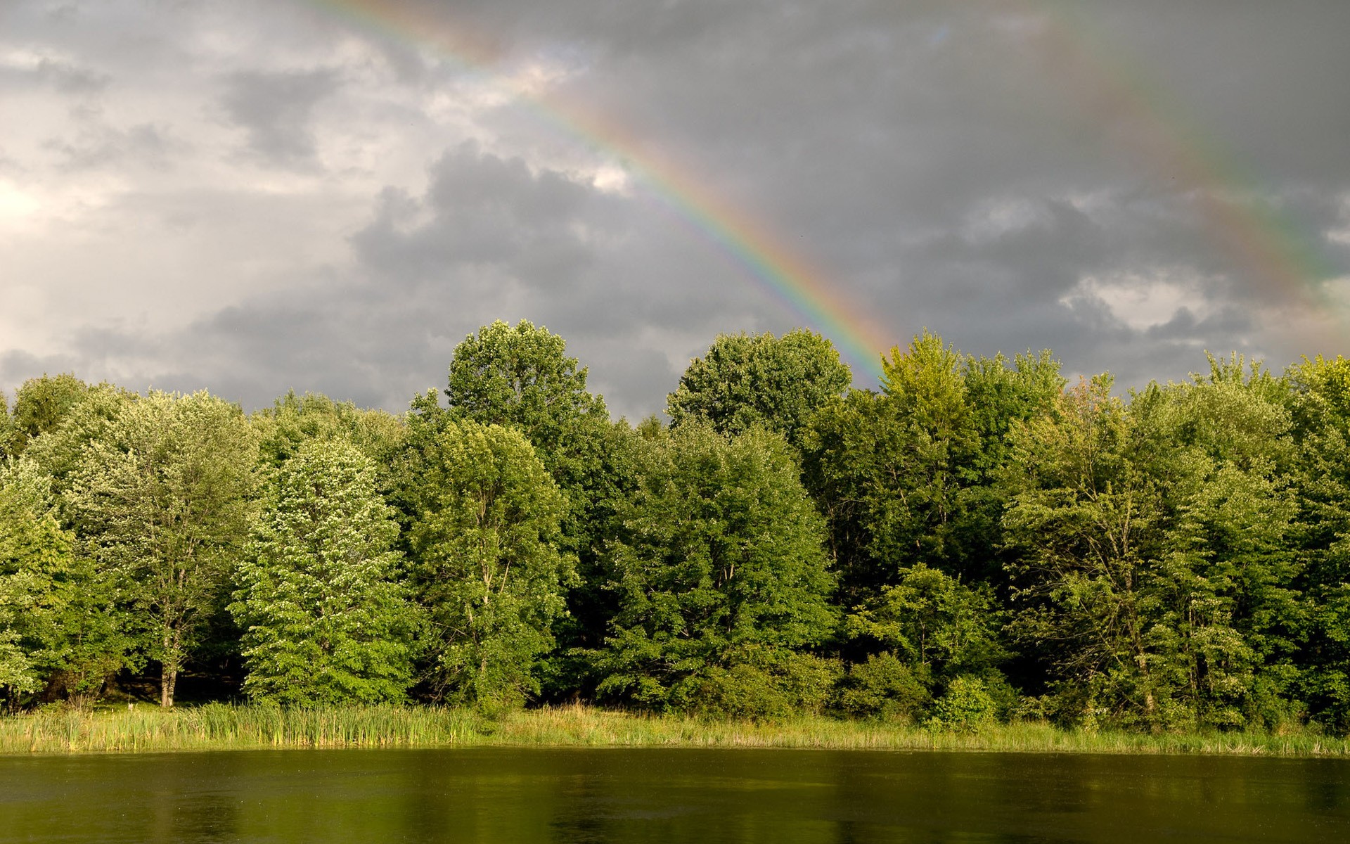 arc-en-ciel forêt rivière eau verdure