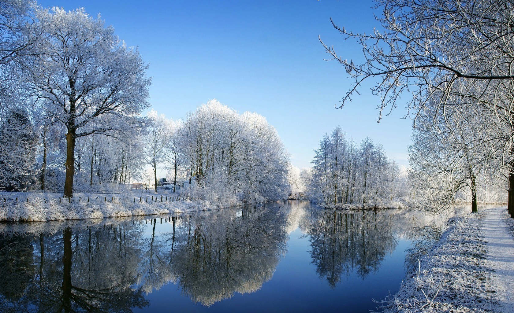 inverno fiume foresta