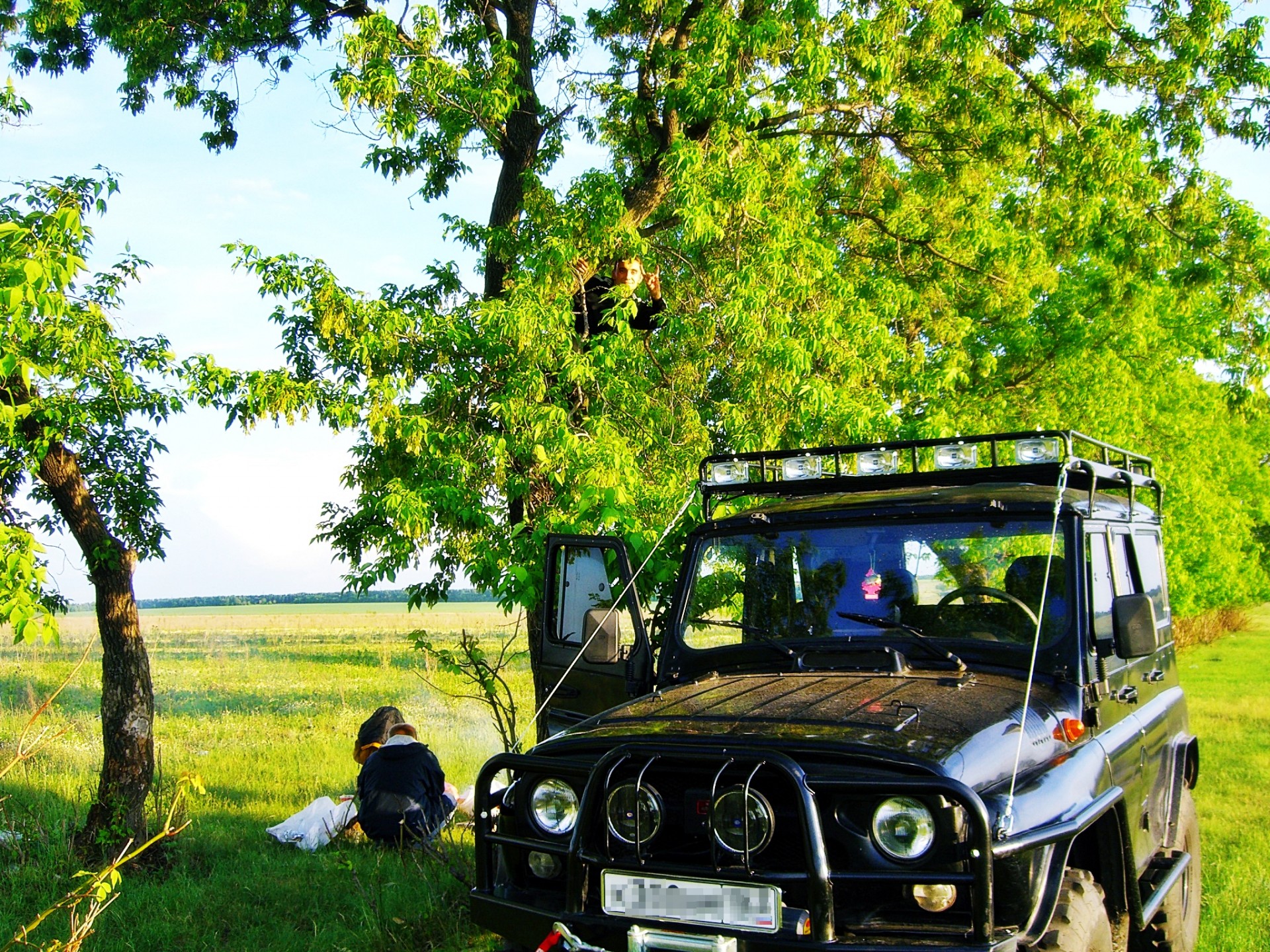 uaz hierba naturaleza