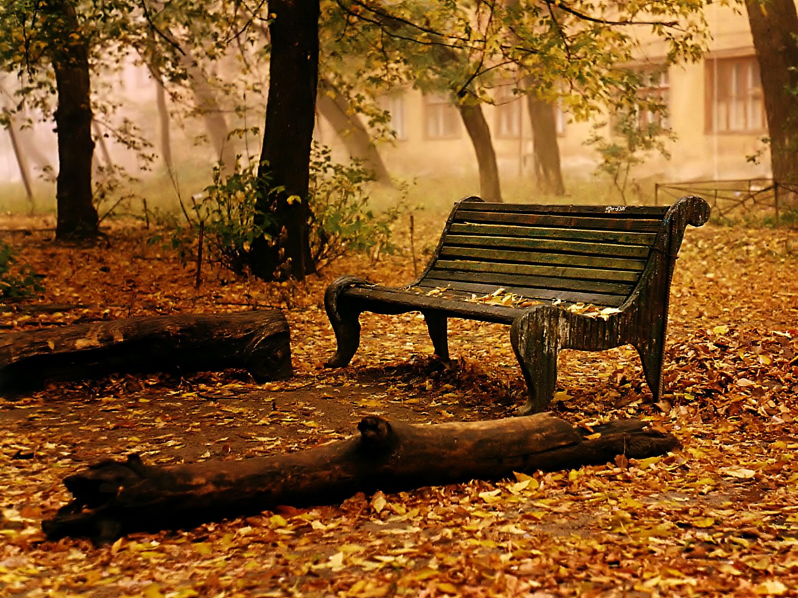 bench park autumn