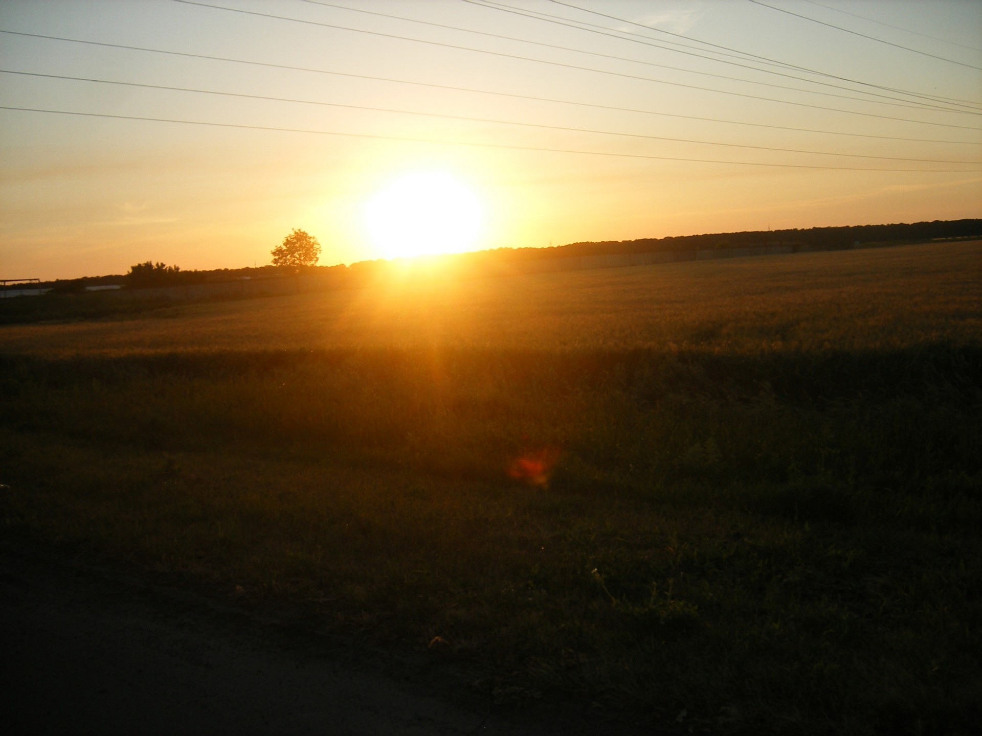 sol amanecer campo cielo cables