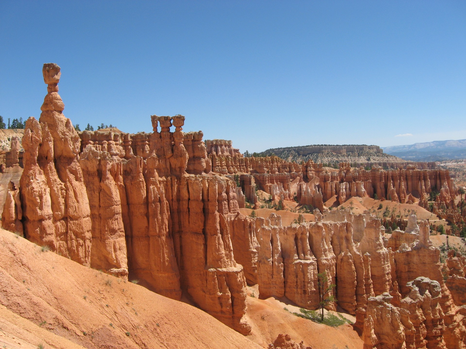 bryce canyon canyon america