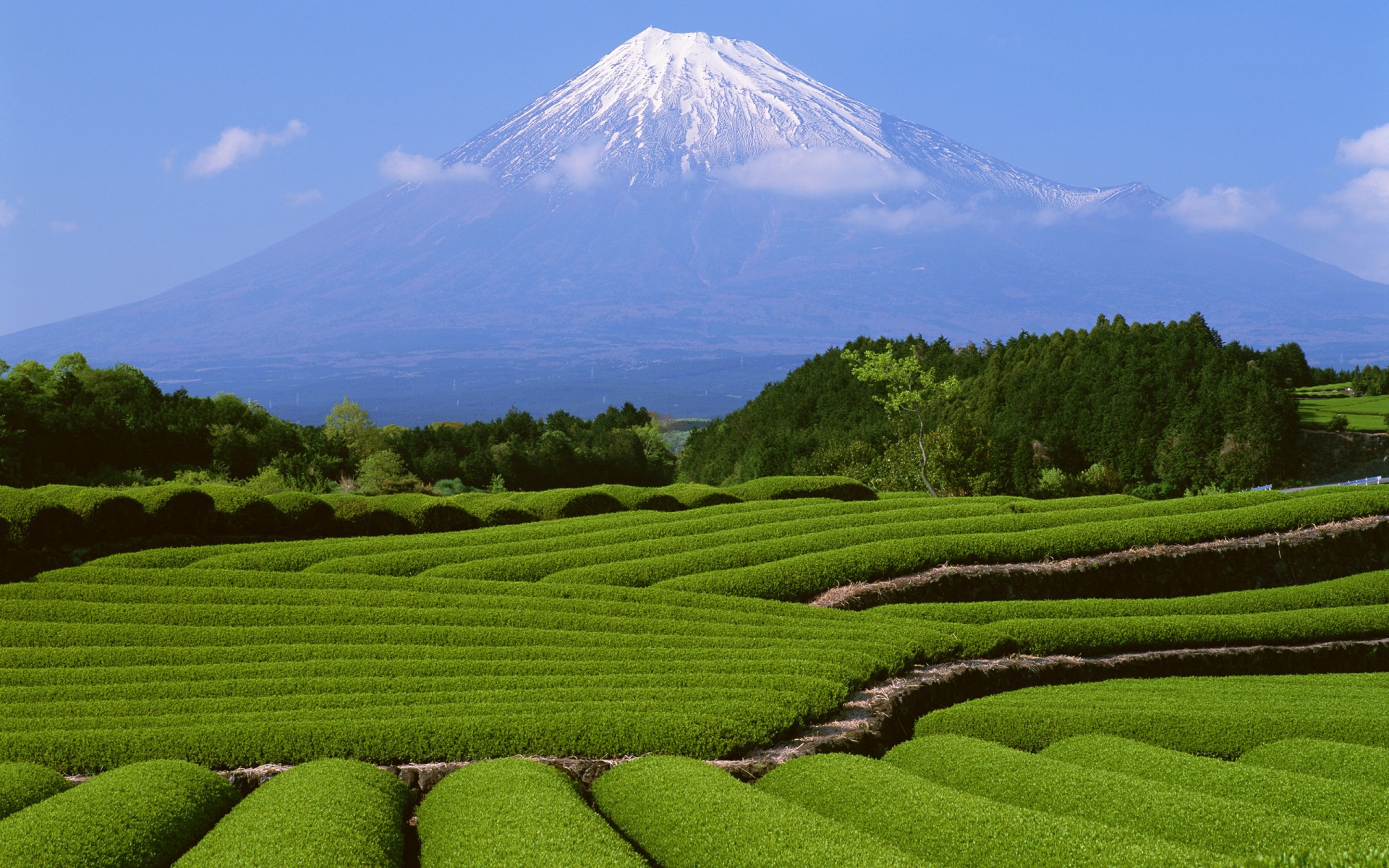 japan mountain fuji