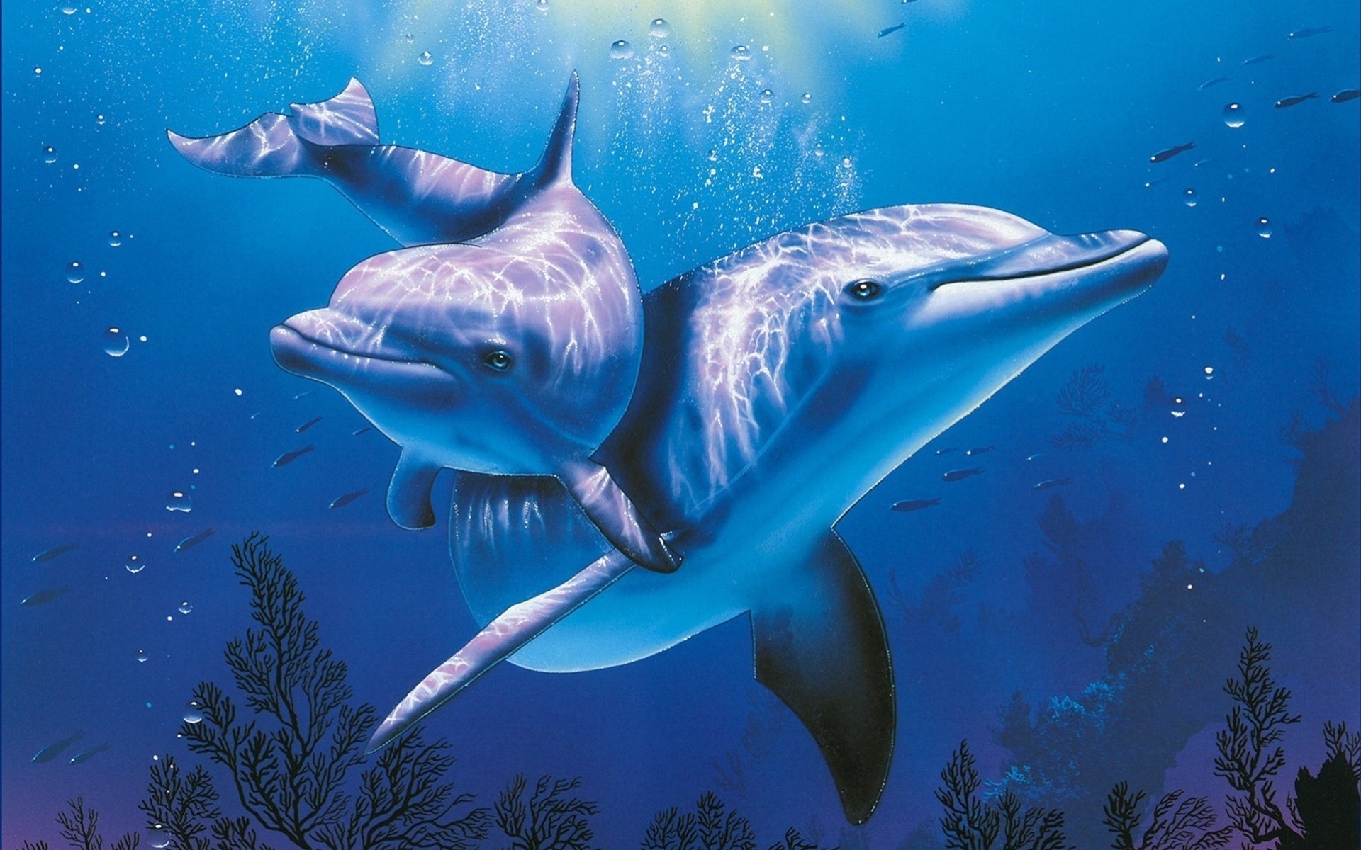 delfines mar encantador azul