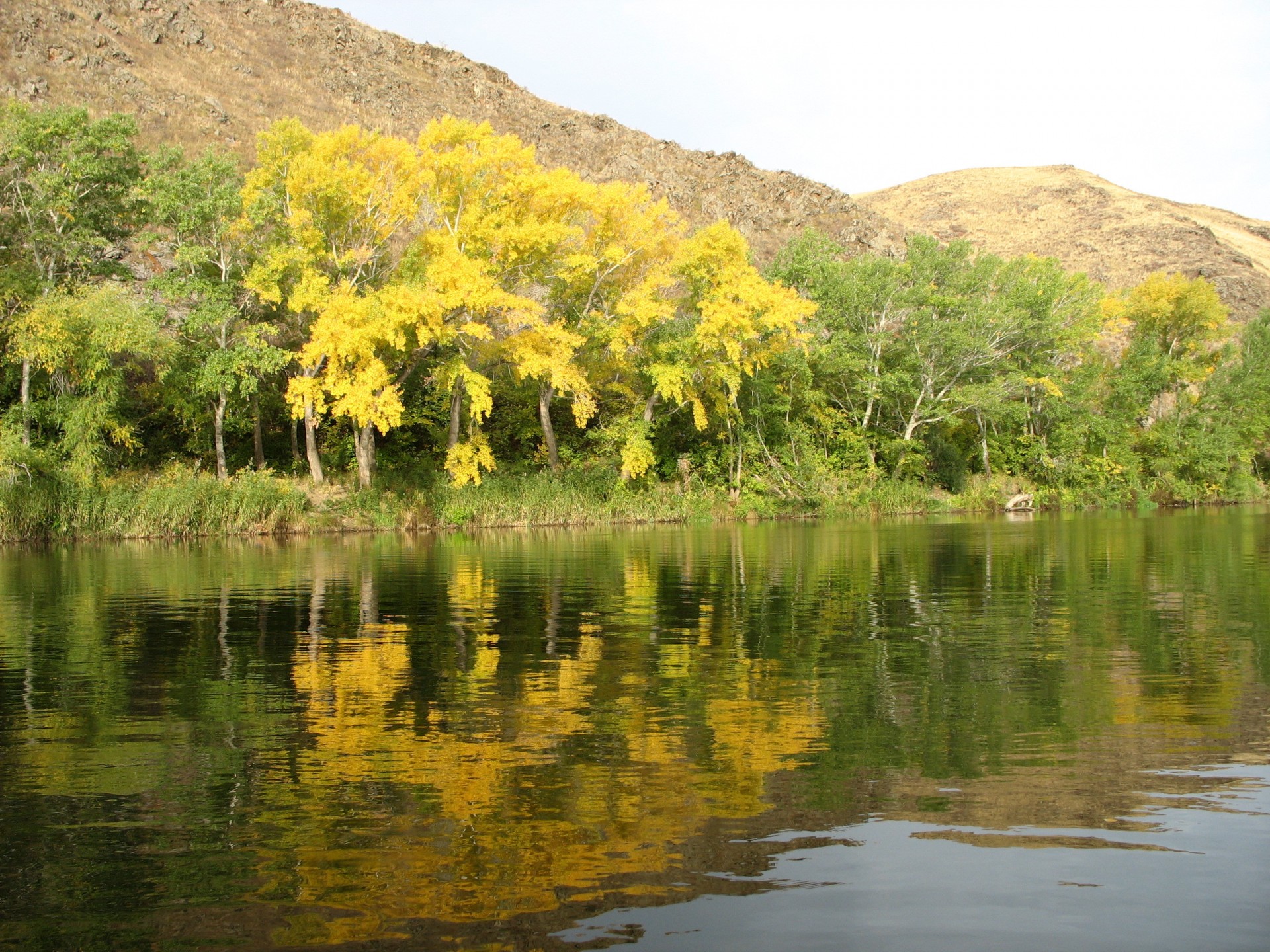 fiume montagne autunno alberi