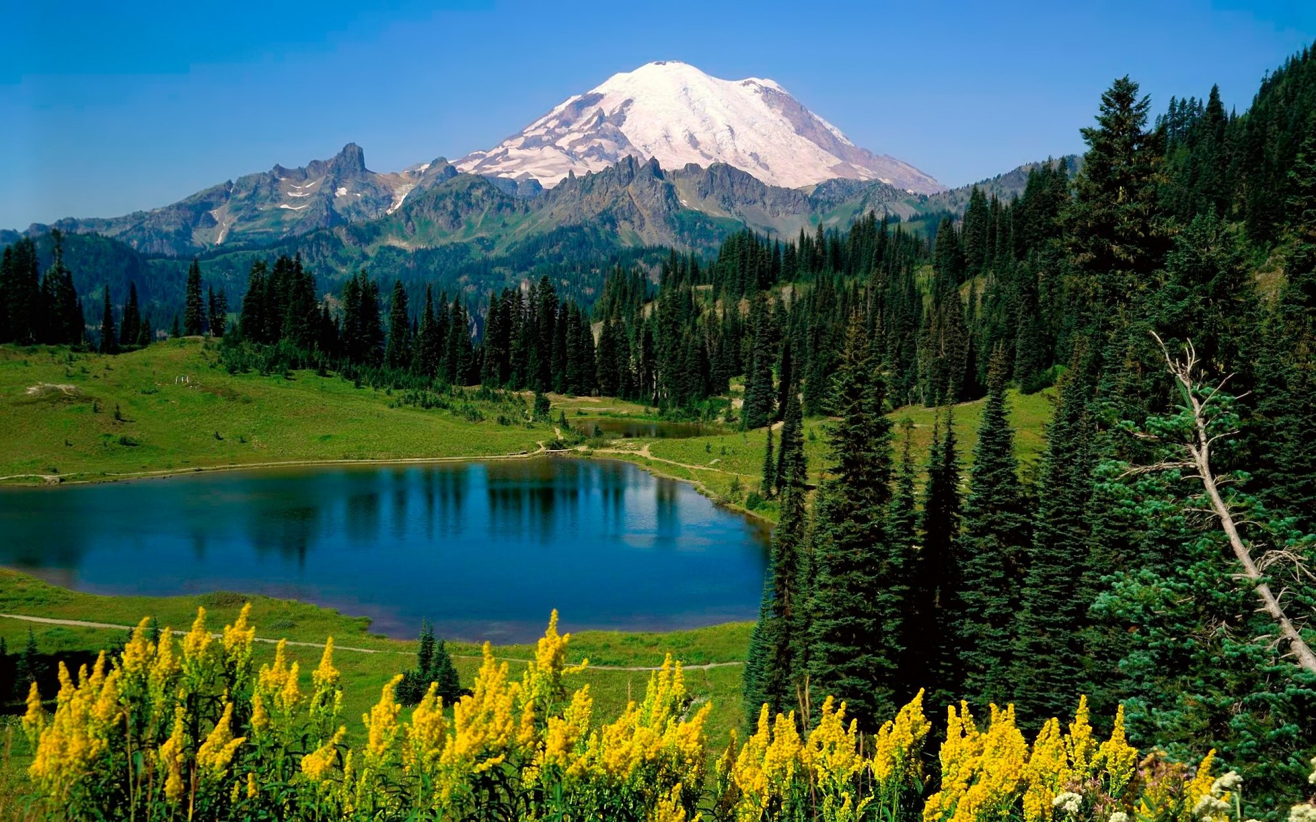 lago alberi montagne