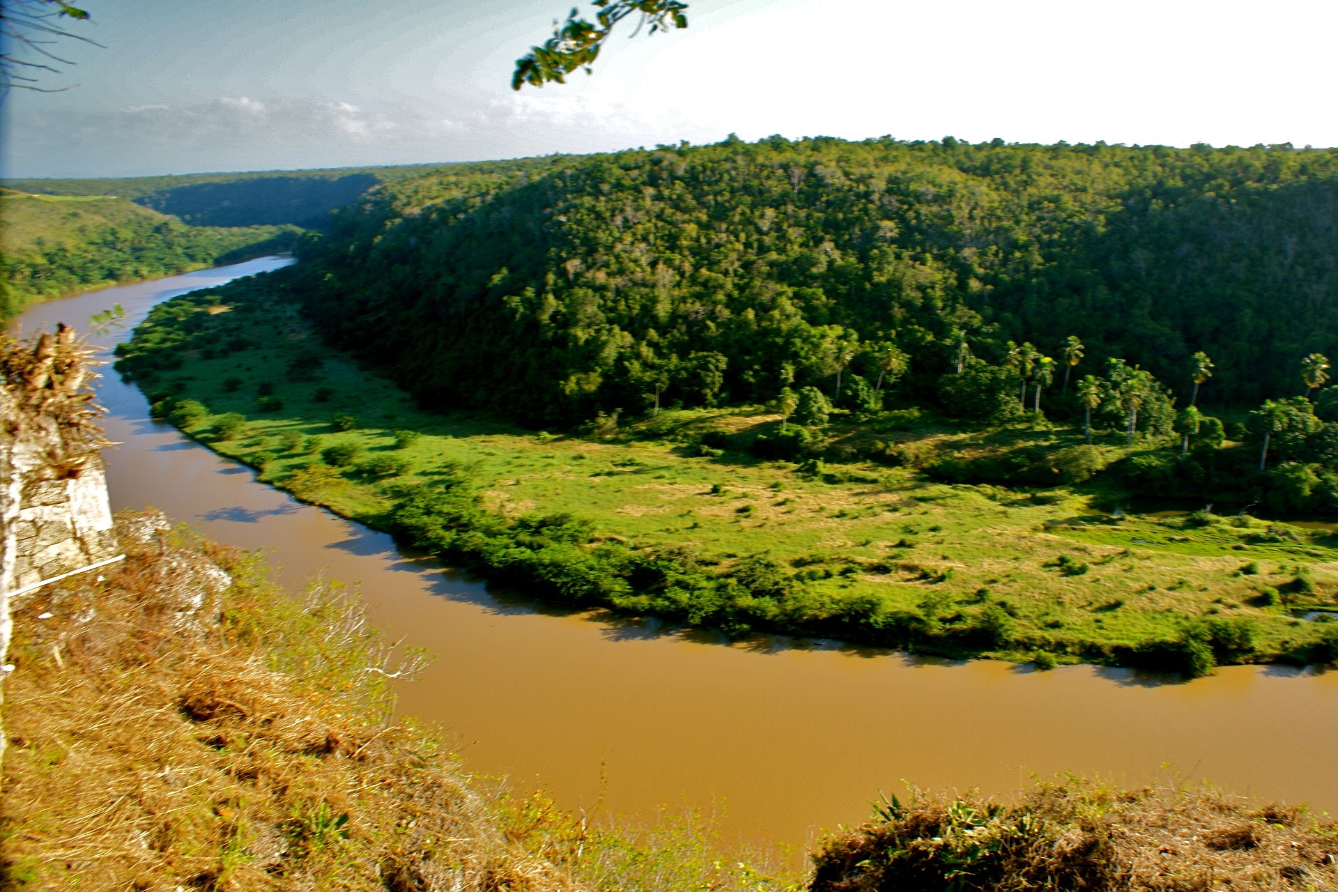 rivière eau ciel jungle