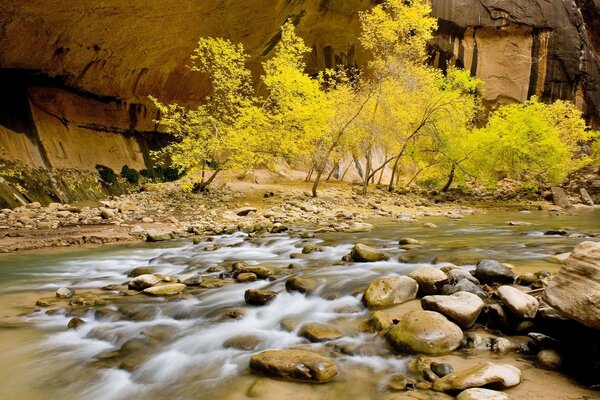 Arroyo de montaña rápido y árboles en colores otoñales