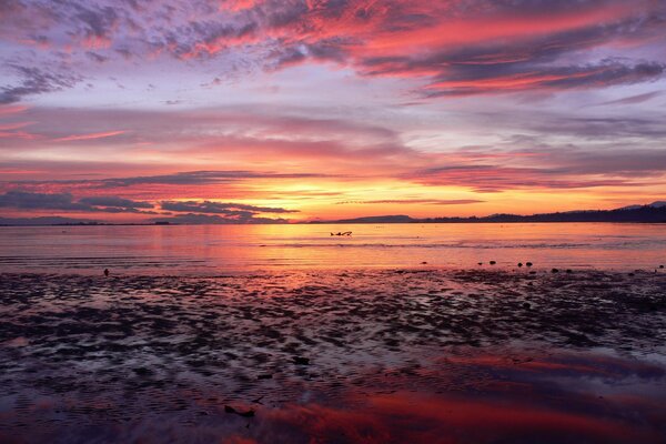 Puesta de sol rosa en el mar infinito